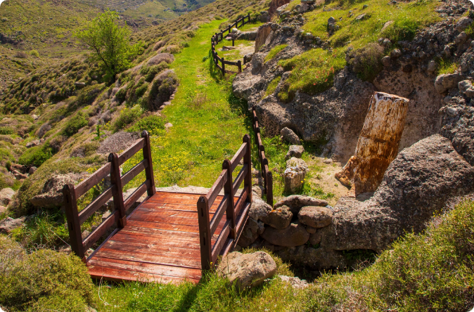 Fossilised tree trunks in the Petrified Forest Park of Lesbos, UNESCO Geopark