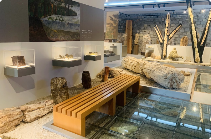 Natural History Museum of the Lesvos Petrified Forest, Sigri village